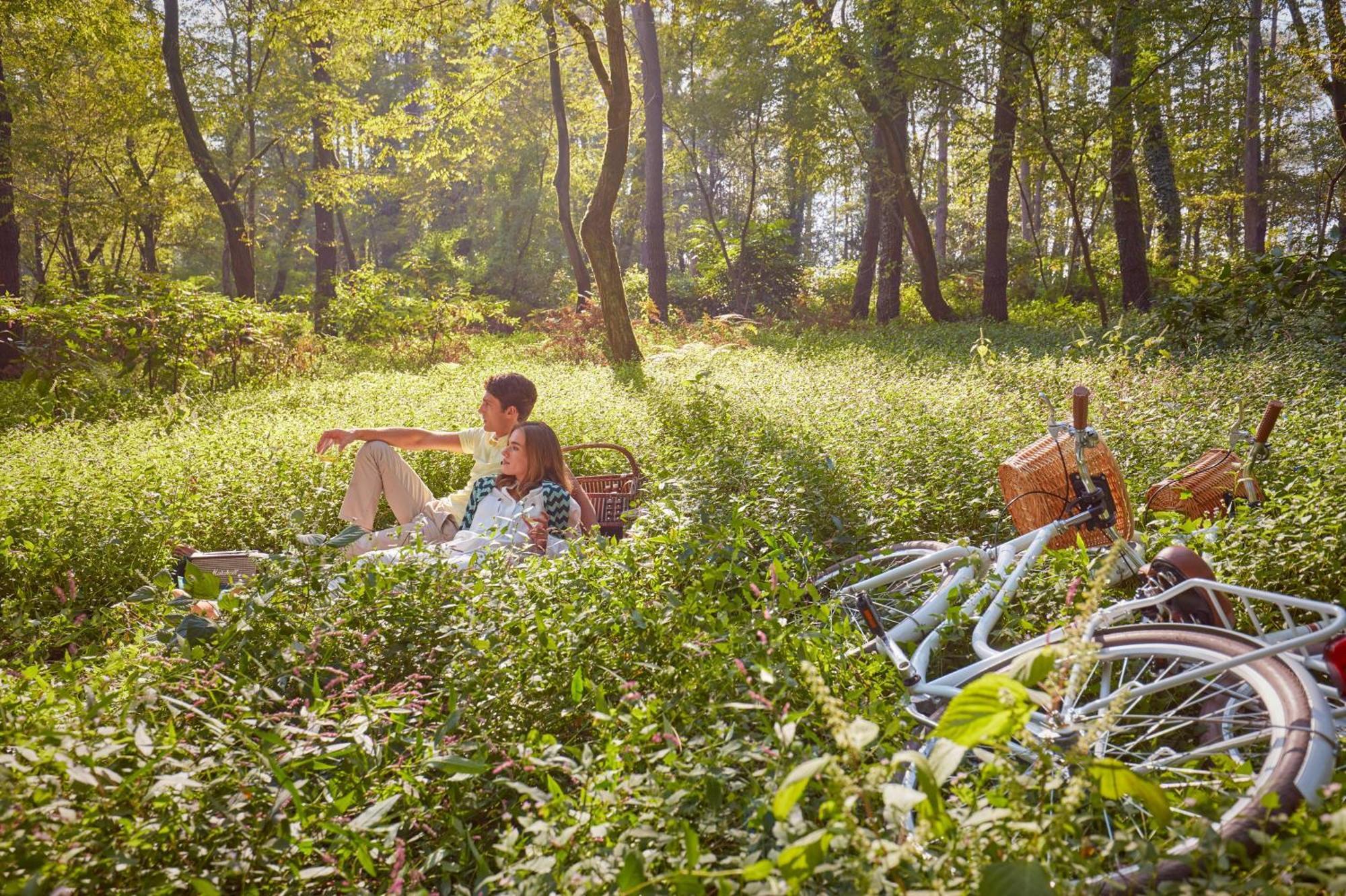 Paragraph Resort & Spa Shekvetili, Autograph Collection Bagian luar foto A picnic in the woods