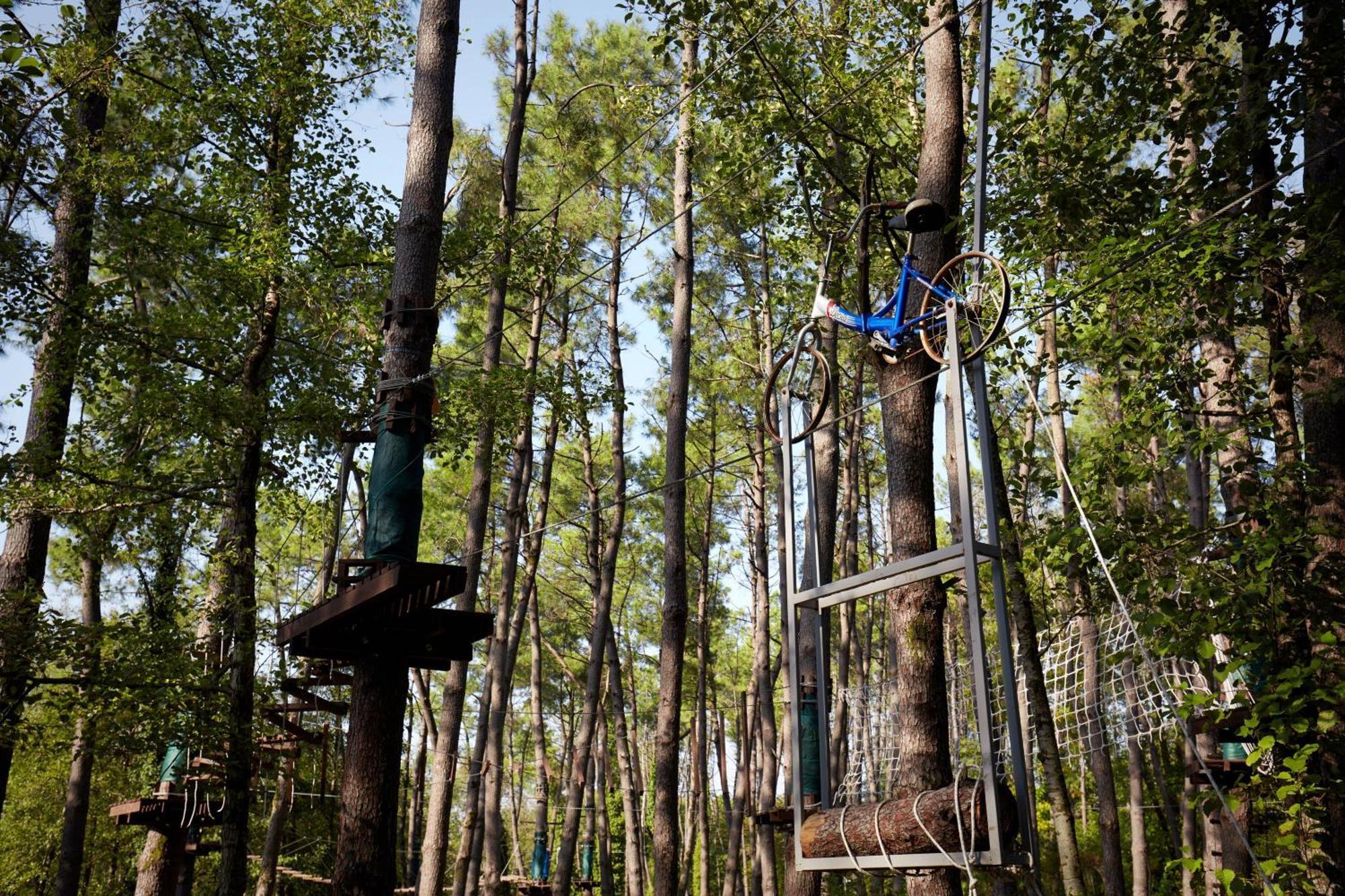 Paragraph Resort & Spa Shekvetili, Autograph Collection Bagian luar foto Adventure Park in the forest