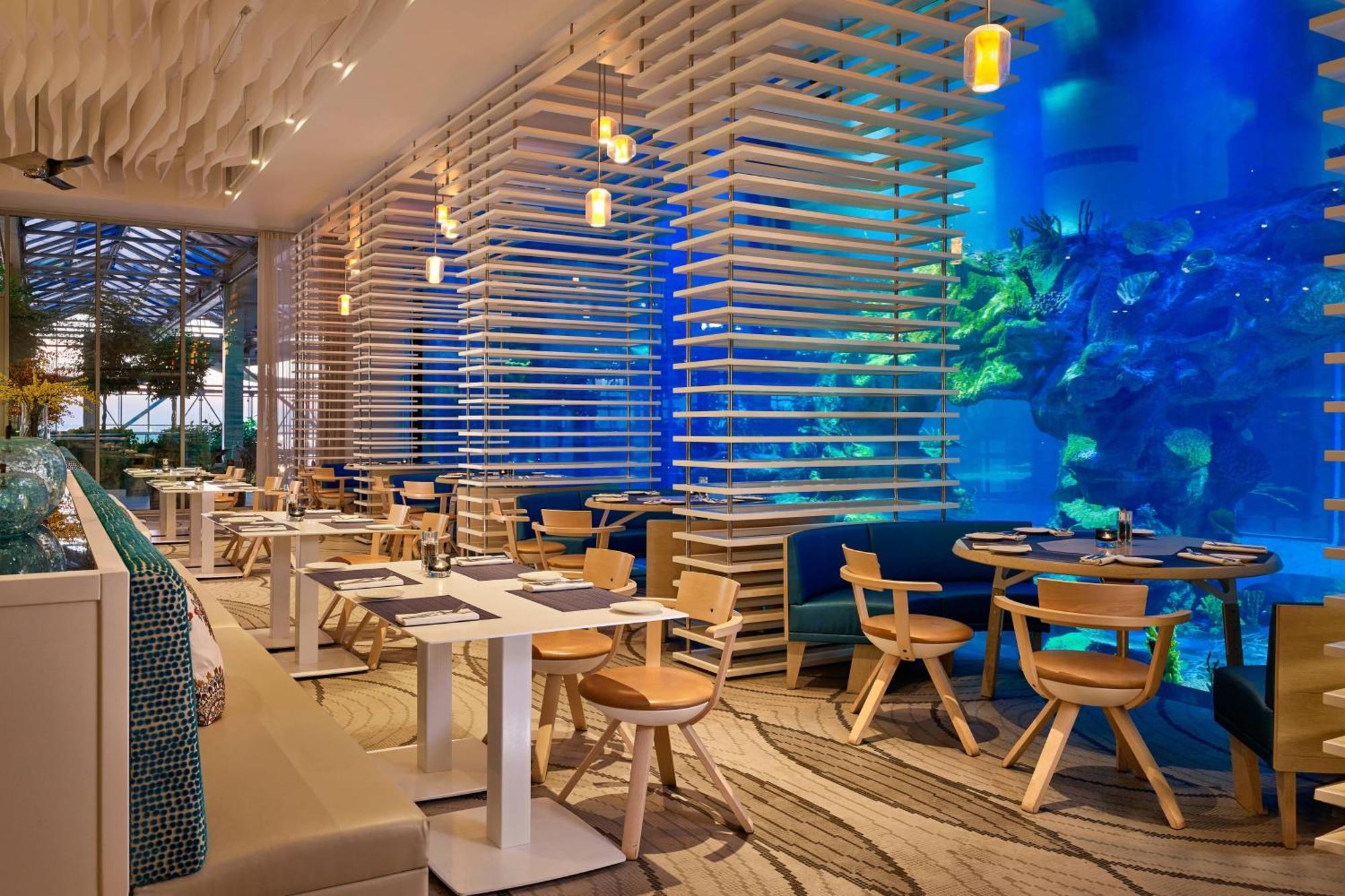 Paragraph Resort & Spa Shekvetili, Autograph Collection Bagian luar foto The Lost Chambers Aquarium